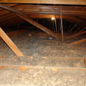 Attic Insulation