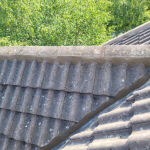 Ridge Tile Roofs